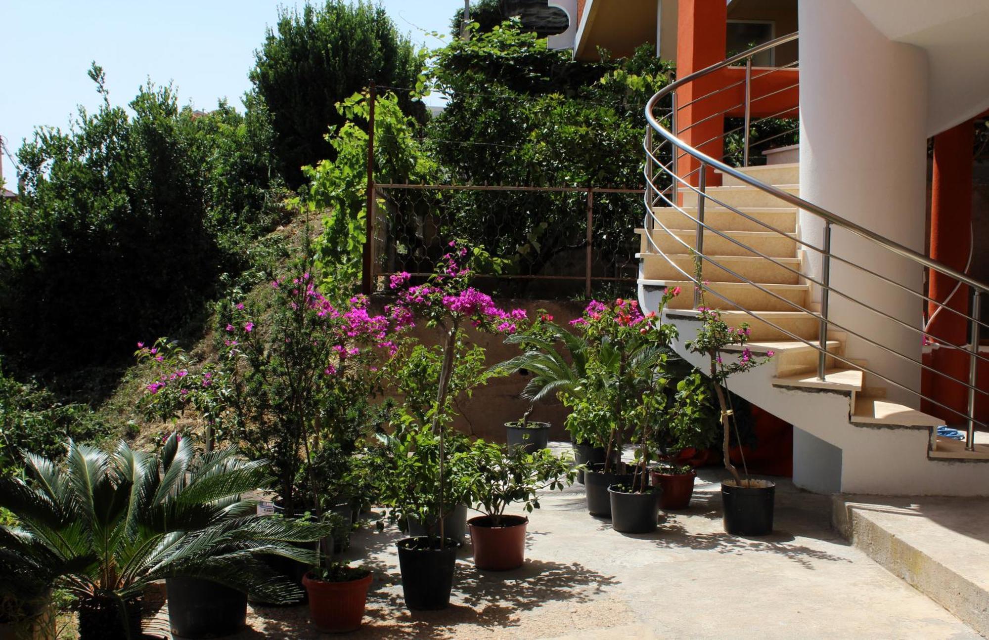 Apartments Olga Ulcinj Exteriér fotografie